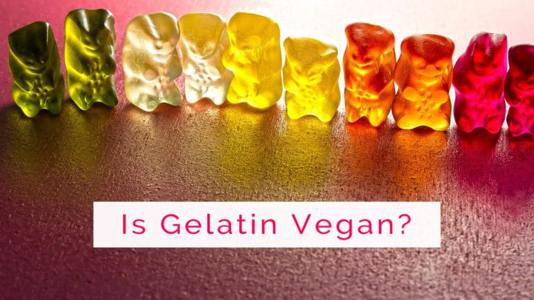 is gelatin vegan