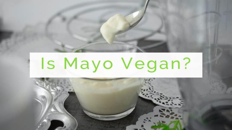 is mayo vegan