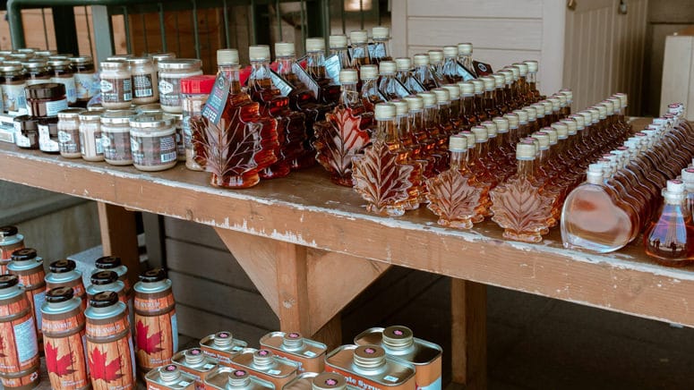 large number of maple syrup bottles