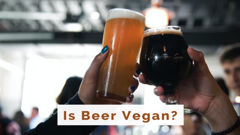 Is beer vegan?