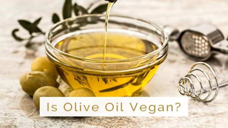 is olive oil vegan