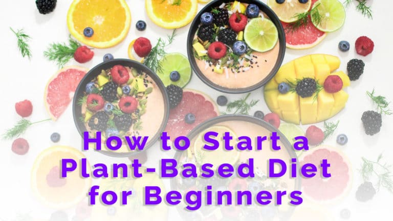 how to start a plant-based diet for beginners