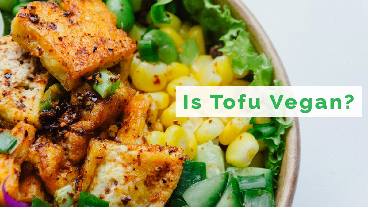 Is Tofu Vegan? Healthy Plant-Based Alternative to Meat