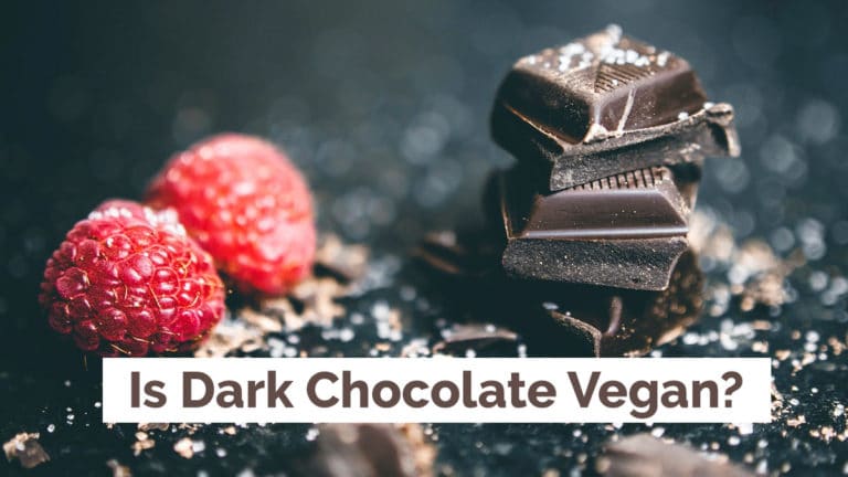 Is Dark Chocolate Vegan?