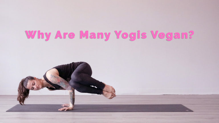 why are yogis vegan?