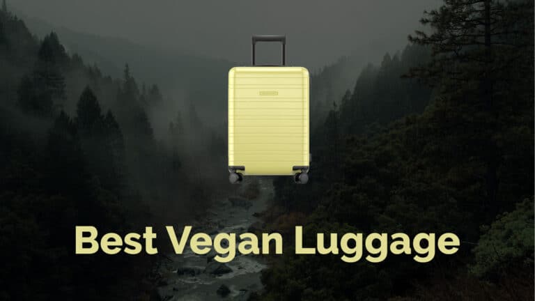 best vegan luggage